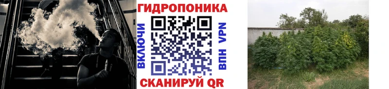 где продают наркотики  Свободный  МАРИХУАНА марихуана 
